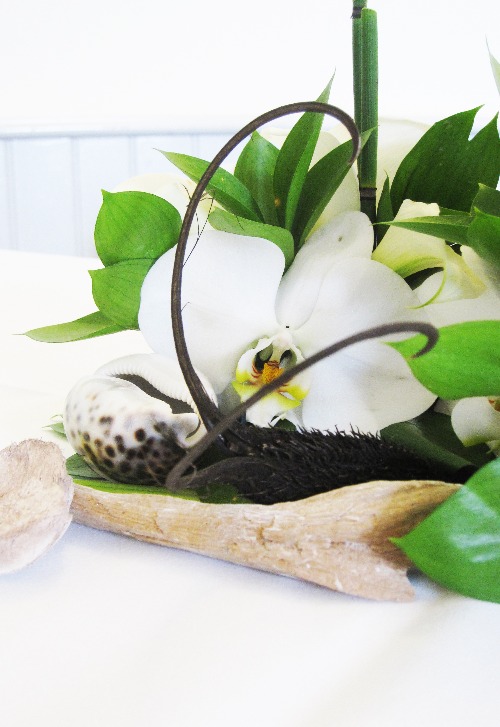Mariage Voyage Exotique 2.jpg